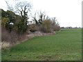 Bridleway along field edge