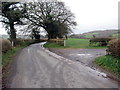 Ger Ffarm Cwm Basset / Near Cwm Basset Farm