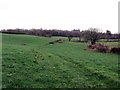 Llwybr Cefncethin / Cefncethin Path