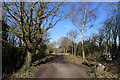 Bench on the line of the former Ashby and Nuneaton Joint Railway