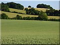 Farmland, Hampstead Norreys