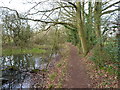 Wyrley Bank branch of the Wyrley & Essington Canals