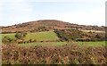 Intake land on the western slopes of Faughill Mountain