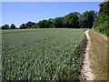 Farmland, St Mary Bourne