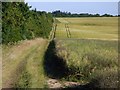 Farmland, St Mary Bourne