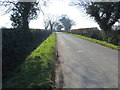 TF3491 : Hedge-lined Westfield Road near to Grove and Little Beck Farms by Peter Wood