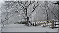 Winter on Bosley Cloud near Congleton