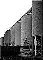 Rainham : silos, Tilda Rice processing plant