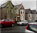 White blossom in early March, Summerhill Avenue, Newport