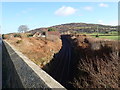 The railway cutting above Killeen Bridge