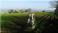 Trig point at Hill Chorlton