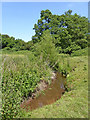 Brook south of Audlem in Cheshire