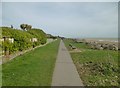 Ferring, coastal path