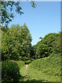 Footpath to Audlem in Cheshire