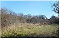 Footpath near Woodside Park