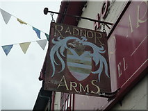 SO2160 : Sign at the Radnor Arms (New Radnor) by Fabian Musto