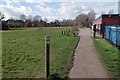 Path Across Bergholt Heath