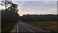 SU3307 : Beaulieu Road  near Matley Passage, New Forest by Phil Champion