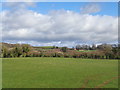 Looking over Tandy Lane