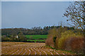 Goosenford : Crop Field