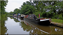 SJ7526 : Working narrowboat on the Shebdon Embankment in Staffordshire by Roger  D Kidd