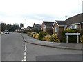 Bungalows and Swanwick church