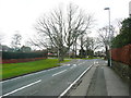 Trees, Adel Lane, Adel