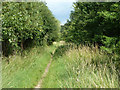 Footpath from East Tilbury station to sea wall