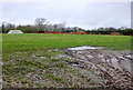 Muddy Field near Tyrell