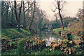 Nunney: millpond