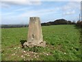 Trig point on Seaborough Hill