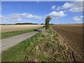 SU2962 : Farmland, Great Bedwyn by Andrew Smith