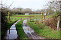 Waterlogged Paddock at North Bockhampton