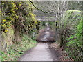 Wirral Way: cutting and footbridge