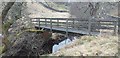 NY9291 : Rayleesburn footbridge by Colin Kinnear