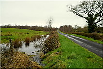 H5171 : Flooded ground along Crocknacor Road by Kenneth  Allen