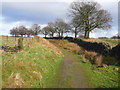 The Pennine Bridleway, Cliviger