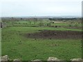 Field west of Old Farm, Barden