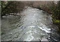 Afon Ogwen ger Coed Bryn Meurig / Afon Ogwen near Coed Bryn Meurig