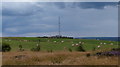 NZ7419 : Telecommunications mast at Easington Heights by Mat Fascione