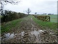 Muddy track to Tanners Farm