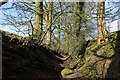 Sunken Track heading up to Eastby Gate