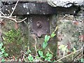 Disused Water Tap, Braich-talog