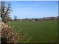 Looking towards Ruthin from Llanfair