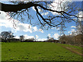 Fields to the west of Oaklands Road