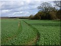 Farmland, Collingbourne Kingston