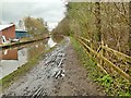 A muddy canal towpath