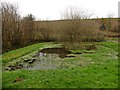 Pond at Gourte Farm