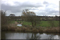 River Stort at Roydon Mead