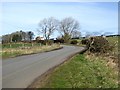 Country road near High Mickley